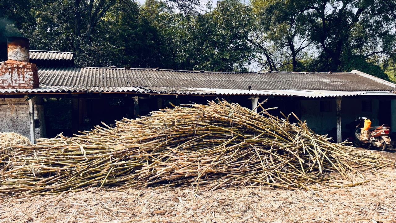 WhatsApp Image 2026-02-28 at 1.07.12 PM