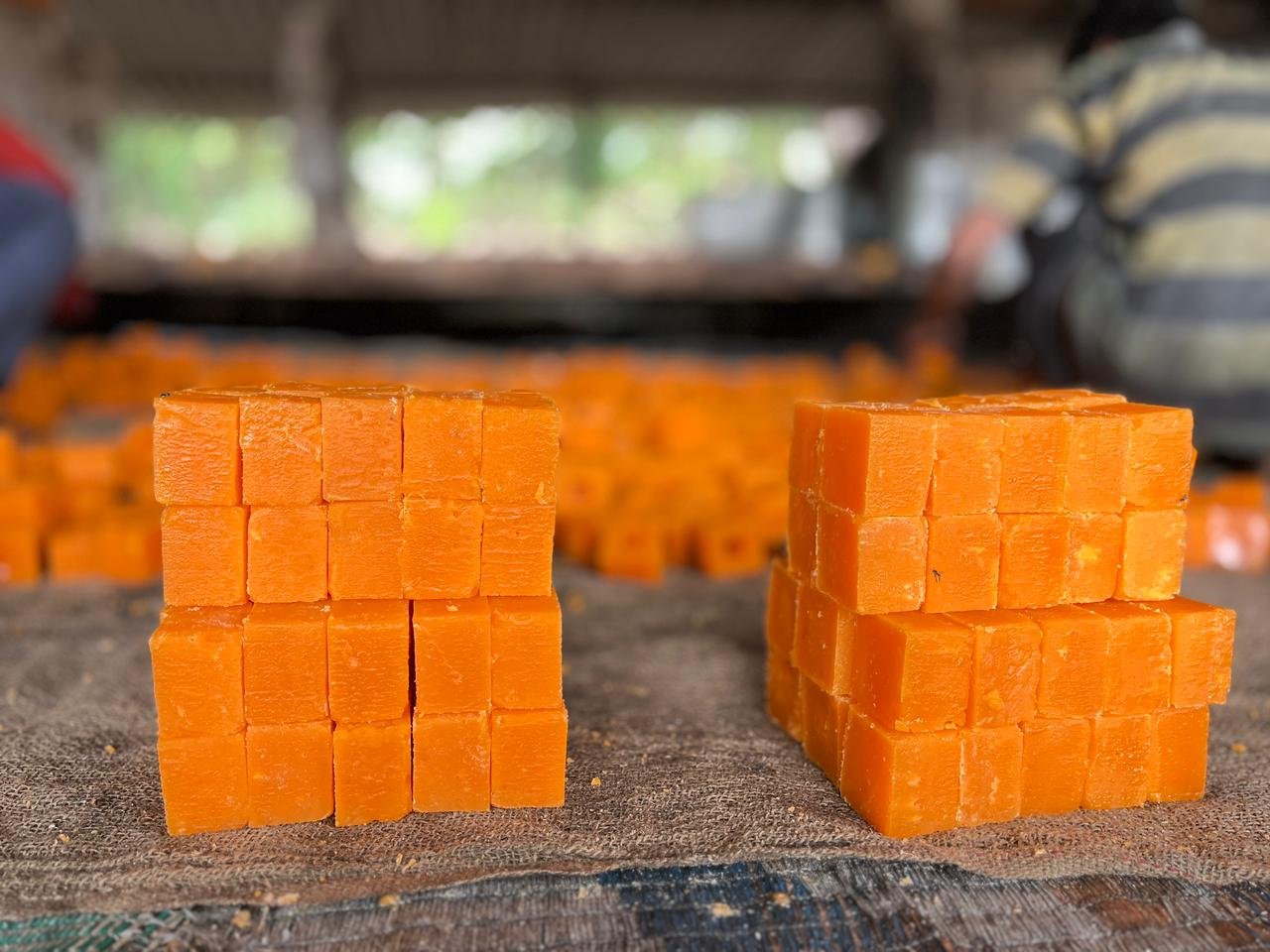 WhatsApp Image 2026-02-28 at 1.07.13 PM (1)