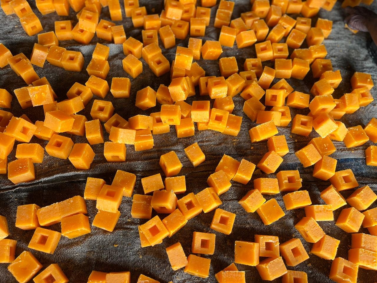 WhatsApp Image 2026-02-28 at 1.07.14 PM