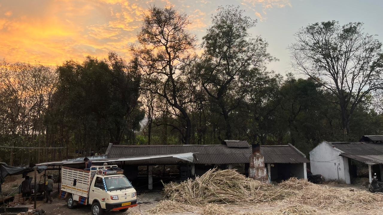 WhatsApp Image alemane